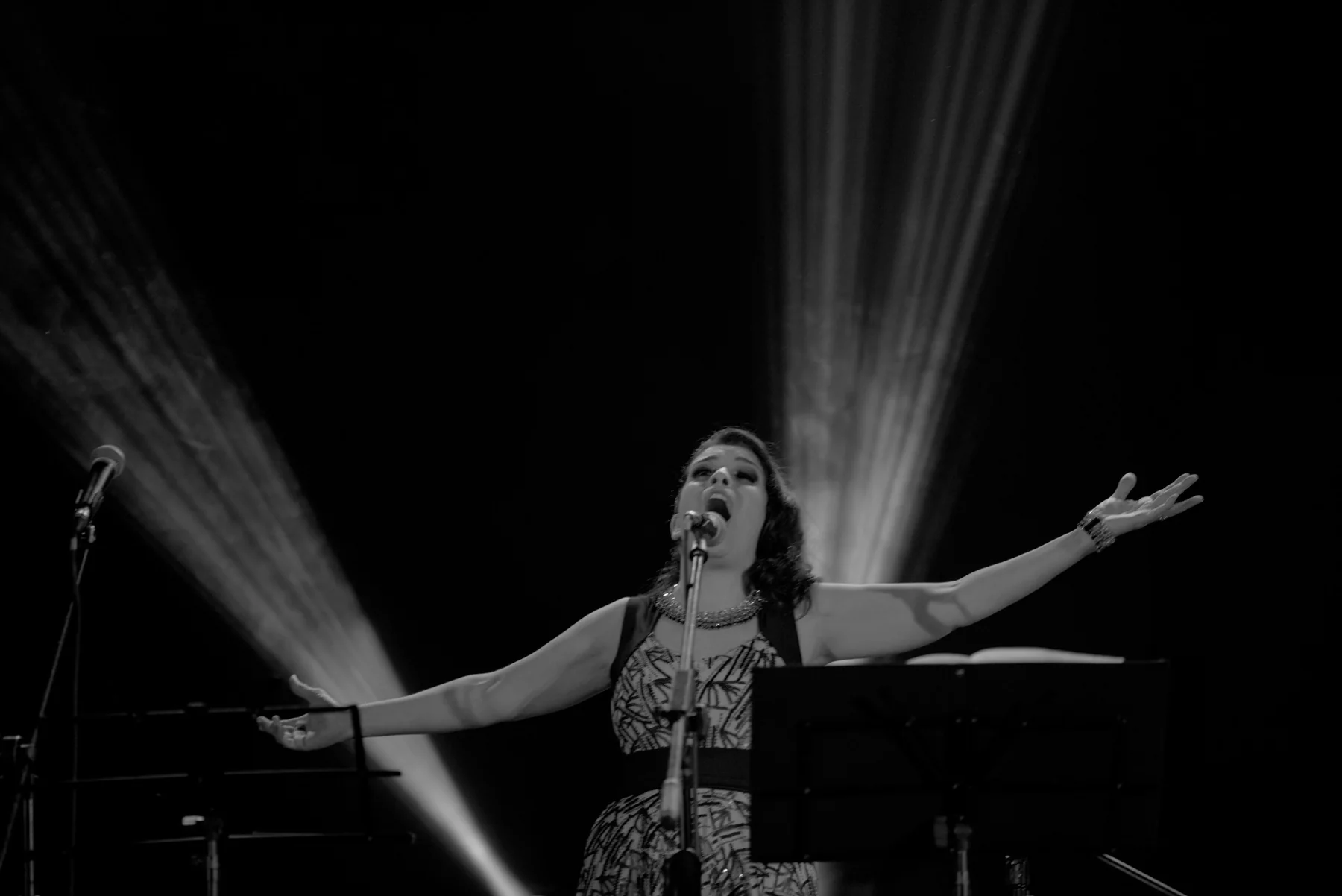Fotografía del concierto homenaje a China Zorrilla